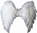 Download White Wings PNG Image for Free