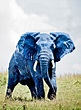 New Blue Elephants! - Blue Elephant
