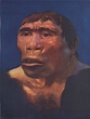 Ancient Humans in Indonesia ~ Inilah Indonesia