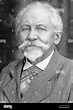 Gustav von Lilienthal Stock Photo - Alamy