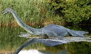 Monstruo del Lago Ness | Wiki Reino Animalia | FANDOM powered by Wikia