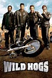 Wild Hogs (2007) — The Movie Database (TMDB)