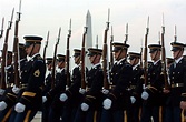 Structure of the United States Army - Wikipedia