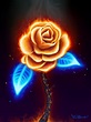 Fire Rose by Felipe Ramos | Flame art, Burning rose, Rose art