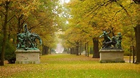 Conoce el Tiergarten park en Berlín - Parques Alegres I.A.P.