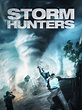 Into the Storm (2014) - Posters — The Movie Database (TMDb)