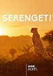 Serengeti - Série (2019) - SensCritique