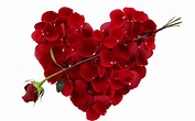 Uncovering the Secret Language of Valentine’s Day Flowers - The North ...