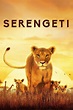 Wer streamt Serengeti? Serie online schauen