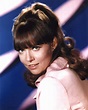 Actor Barbara Feldon gets smart at Supanova | Community News Group