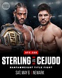 UFC 288: Sterling vs. Cejudo (2023) | ČSFD.cz