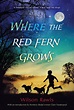 Where the Red Fern Grows (Paperback) - Walmart.com - Walmart.com