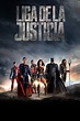 Ver Liga de la Justicia (2017) Online Latino HD - Pelisplus
