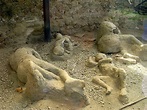 Bodies Of Pompeii Show Last Agonizing Moments Of Mt. Vesuvius Victims