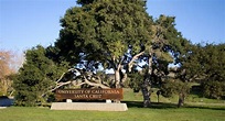 University of California- Santa Cruz Campus | University & Colleges ...