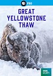 Great Yellowstone Thaw (TV Mini Series 2017) - IMDb