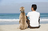 Urlaubsparadiese für Familien mit Hund | Skyscanner Deutschland
