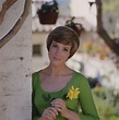 Julie Andrews had the highest peak of any actress in terms of their career.