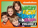 Nickelodeon Nicky Ricky Dicky And Dawn Logo By Mohamm - vrogue.co