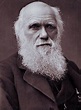 The Leakey Foundation | Happy Birthday Charles Darwin!