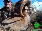 Hawaii Mouflon sheep, Axis deer, Polynesian boar and more hunting ...
