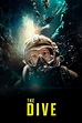 The Dive (2023) - Posters — The Movie Database (TMDB)