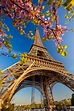 Paris in April: Weather, Festivals, & Things to Do (+Tips!) » Maps 'N Bags