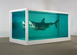 HD wallpaper: Shark, formalin, Damien Hirst, The physical impossibility ...