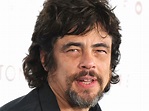 Biografia di Benicio Del Toro