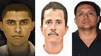 NARCOS: Estos son los 4 tipos de sicarios que existen en México | La ...