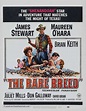The Rare Breed (1966) movie poster