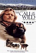 The Call of the Wild (1976) - Jerry Jameson | Synopsis, Characteristics ...