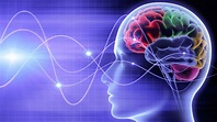Understanding Your Brainwaves - Tracy Alston | Optimize Your Mental ...