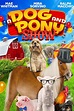 A Dog and Pony Show (2018) — The Movie Database (TMDB)