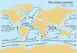 Ocean Current Worldmap Vector | Ocean current, Ocean currents map ...