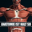 Anatomie ist halt so