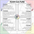 Team Culture and DISC