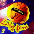 Album Artwork: Living Colour