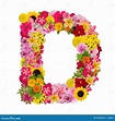 Letter D Alphabet with Flower ABC Concept Type As Logo Isolated Stock ...