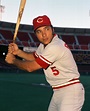 Johnny Bench, Cincinnati Reds, in San Francisco's Candlestick Park ...