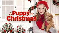Watch A Puppy For Christmas Online Free - Stream Full Movie | 7plus