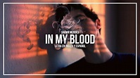 SHAWN MENDES - IN MY BLOOD | LETRA EN INGLÉS Y ESPAÑOL - YouTube