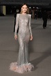 Olivia Wilde Wore a Sheer Crystal Gown on the Red Carpet | Who What Wear