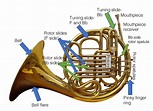The Horn – Brass Techniques and Pedagogy
