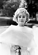 41 Rarely-Seen Photos of Lucille Ball for a Peek Into Her Life ...