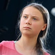 Attacks on Greta Thunberg Come from a Coordinated Network of Climate ...