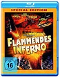 Flammendes Inferno | Film-Rezensionen.de