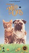 The Adventures of Milo and Otis (1989) - Masanori Hata | Synopsis ...
