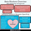 Beta Blockers Overview - Beta Adrenergic Antagonists Cardioselective: M ...