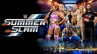 PHOTO: First Look At WWE SummerSlam Stage At Ford Field - WrestleTalk
